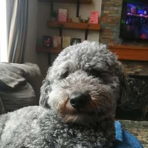 Meet your Posher, Beverly